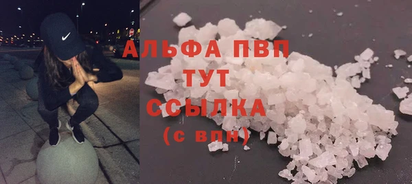 не бодяженный Богданович
