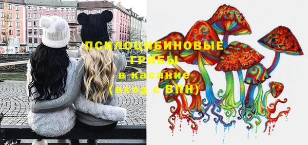 стаф Богородицк