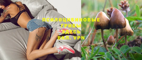 стаф Богородицк